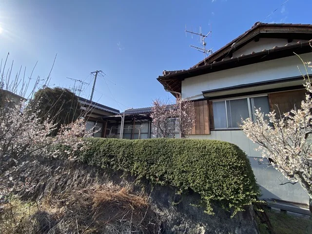 View 25