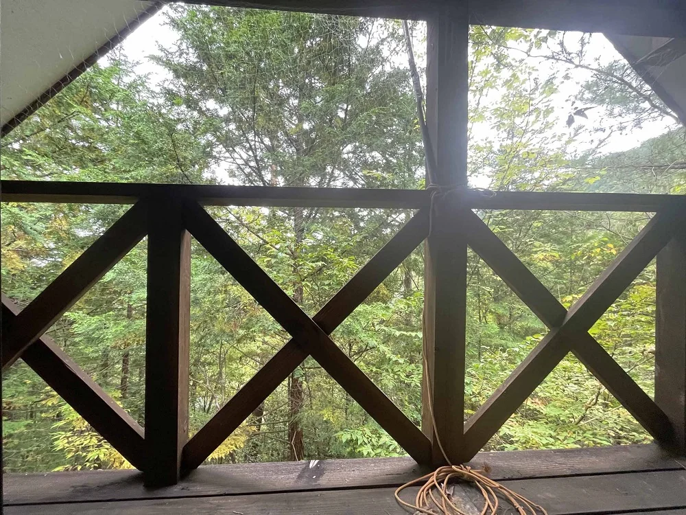 View 7
