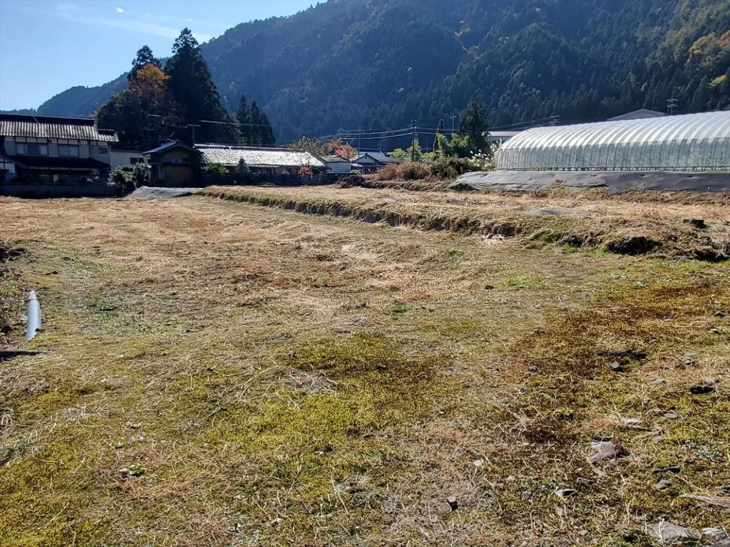 View 5