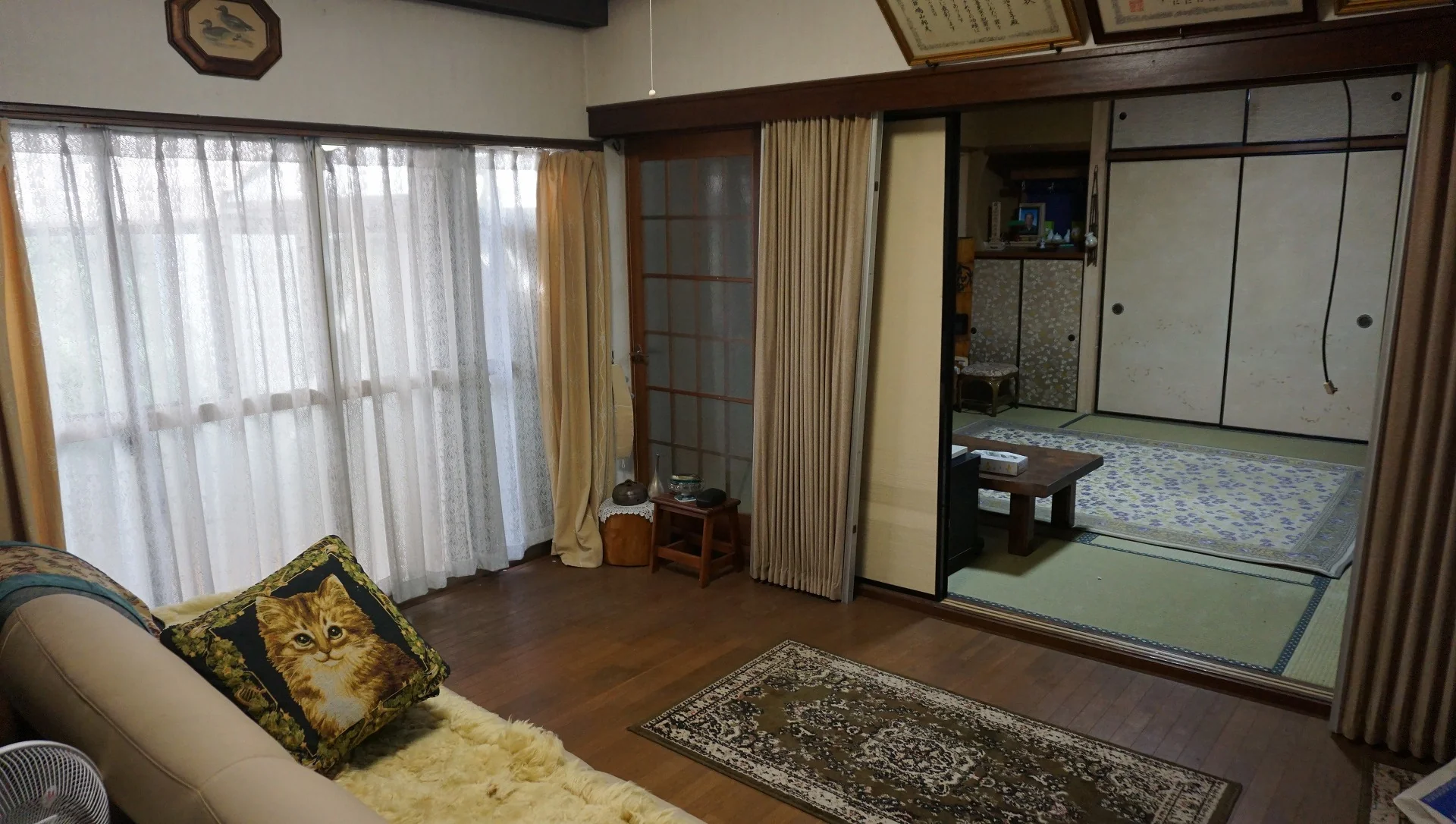 View 19