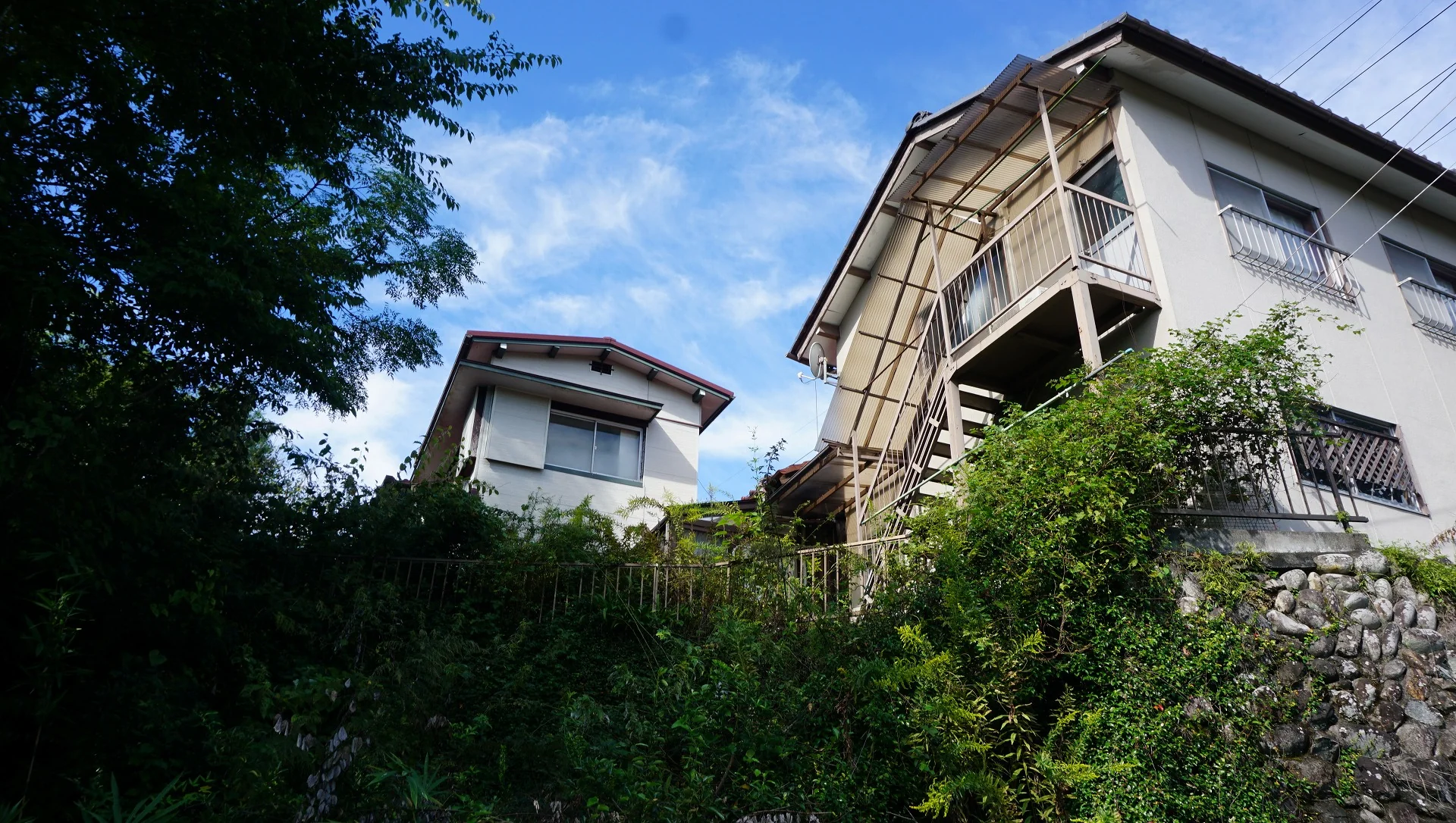 View 25