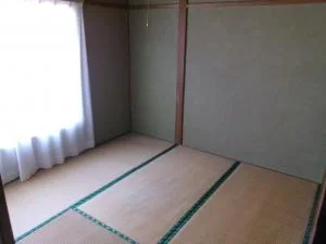 View 5