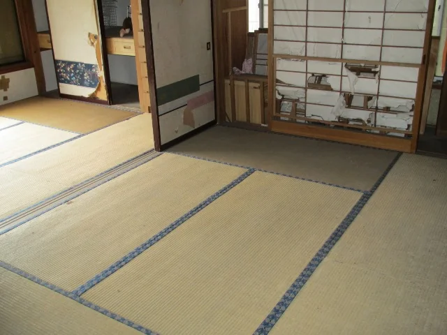 View 3