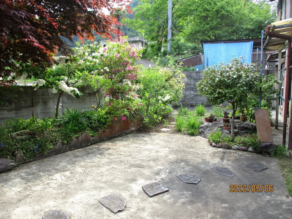 View 27