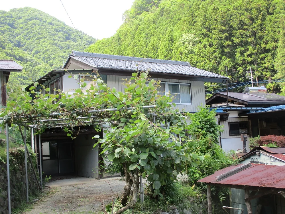 View 19