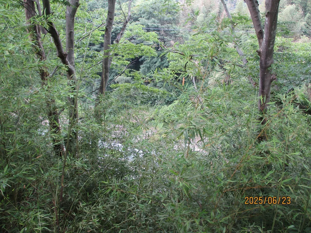 View 12