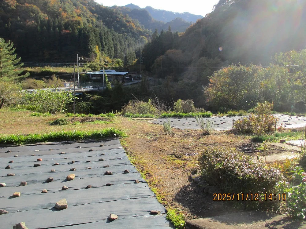 View 13
