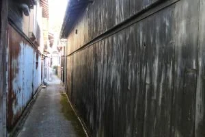 View 23