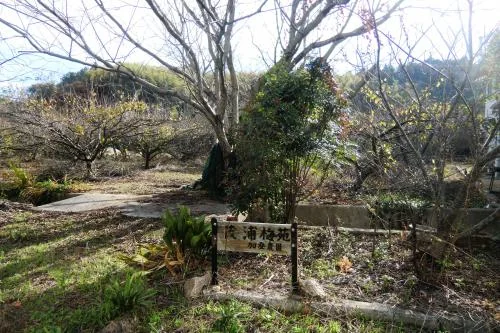 View 25