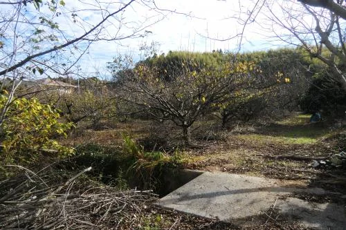 View 26