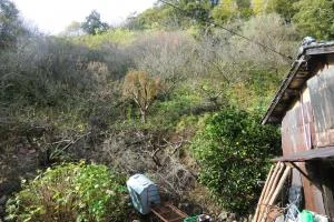 View 28