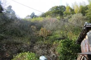 View 29