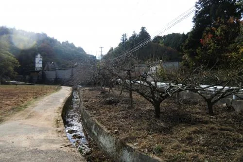 View 30