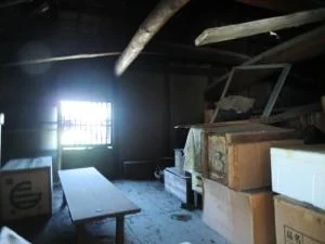 View 17