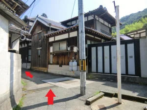 View 24