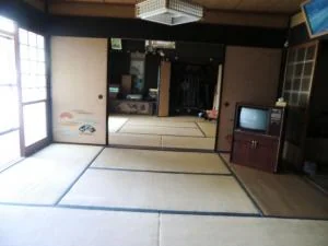 View 5