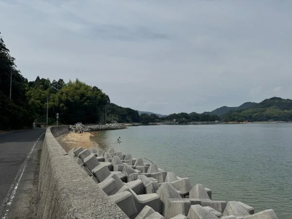 View 24