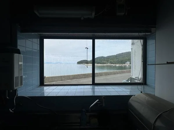 View 8