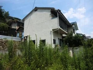 View 15