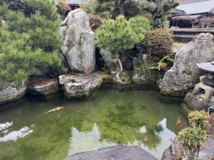 View 32