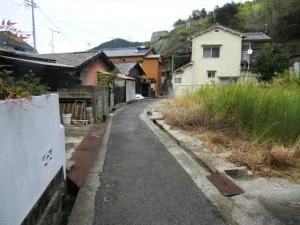 View 3