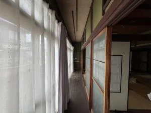 View 8