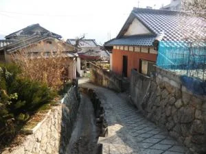View 5