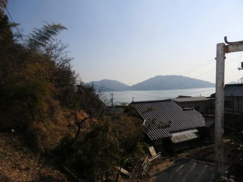 View 8