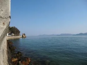 View 9