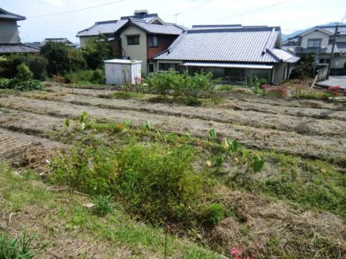 View 18