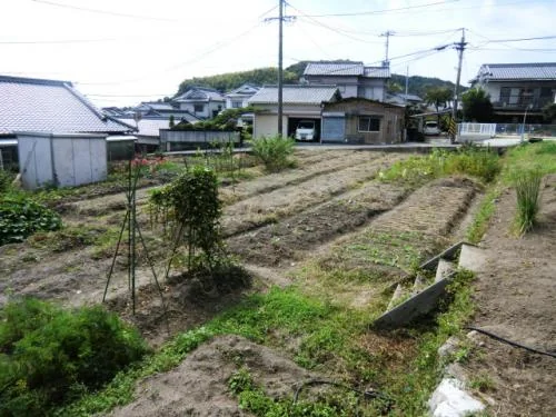 View 19