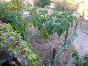 View 2