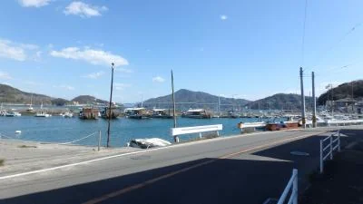 View 8