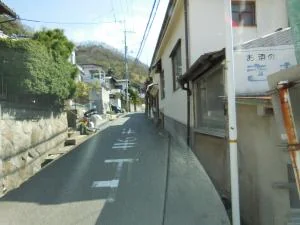 View 37