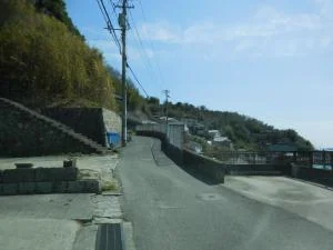 View 38