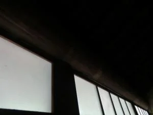 View 11