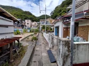 View 16
