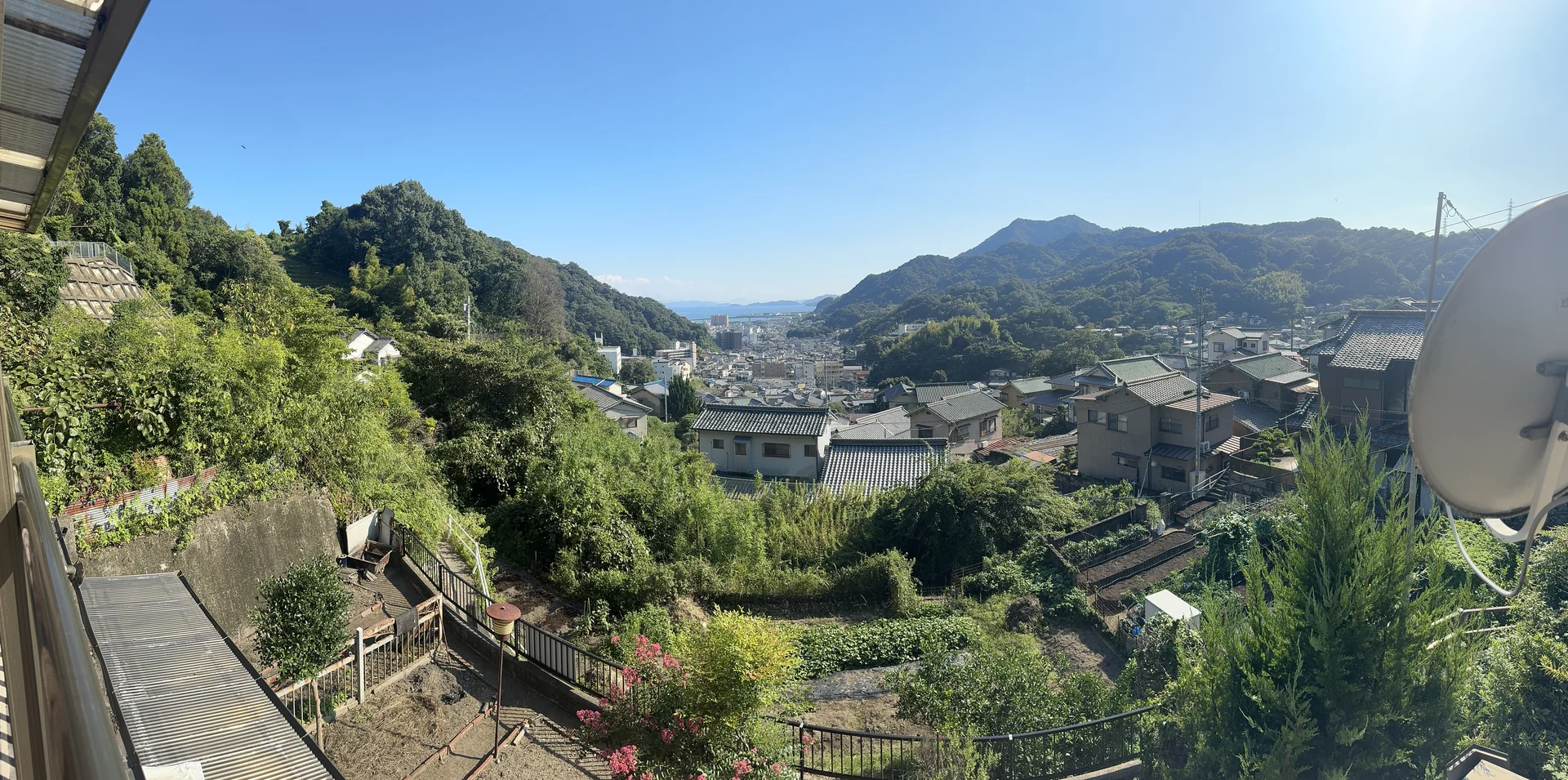 View 14