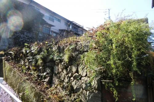 View 5