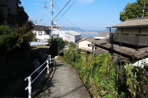 View 8