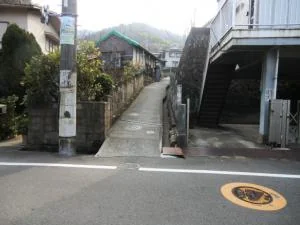 View 5