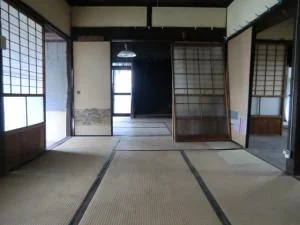 View 11
