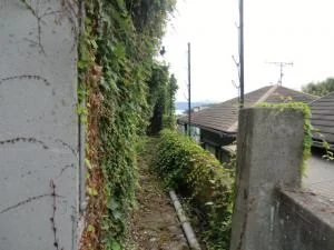 View 19