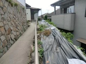 View 21