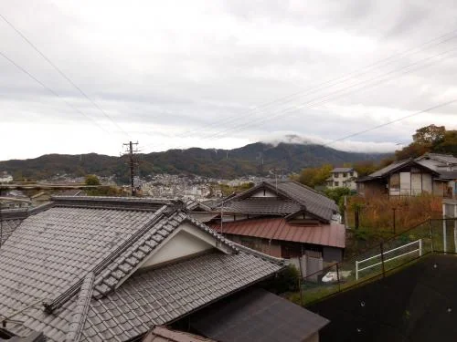 View 24