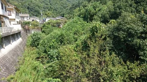 View 6