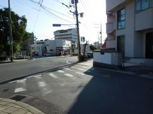 View 7