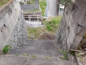 View 25