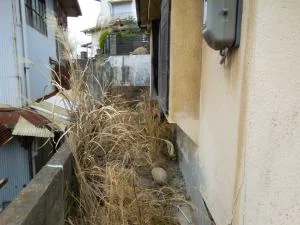 View 26