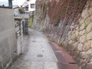 View 31